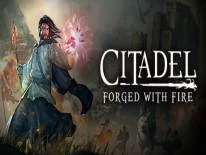 Citadel: Forged With Fire: PC Trainer (12474-2): Multiplier van XP Punten, Schade en Armor