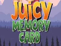 Prestaties en Trofeeën voor Juicy Memory Card