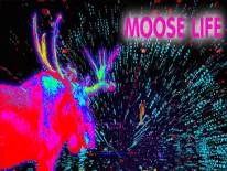 Prestaties en Trofeeën voor Moose Life