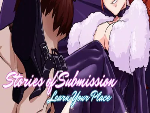 Prestaties en Trofeeën voor Stories of Submission: Learn Your Place
