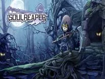 Prestaties en Trofeeën voor Soul Reaper