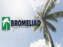 Trucs voor Bromeliad op PC