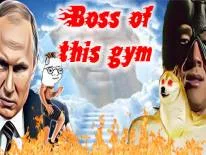 Prestaties en Trofeeën voor Boss of this gym