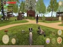 Trucs voor Cat Simulator 2020 op Android e iPhone