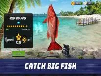 Trucs voor Fishing Clash op Android e iPhone