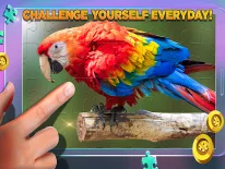 Trucs voor Puzzle definitivi op Android e iPhone