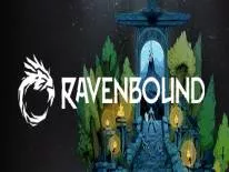 Prestaties en Trofeeën voor Ravenbound