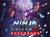 Ninja Gaiden: Ragebound: PC Trainer (cs36158): Mega Kills-combo's tellen mee en bevriezen de missietijd